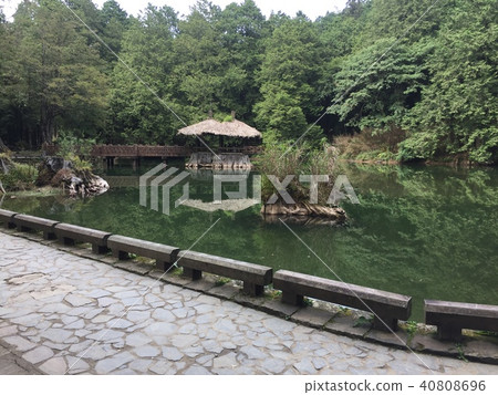 台灣 阿里山 姊妹潭 湖 風景 台灣 阿里山 姊妹潭 湖 風景 40808696
