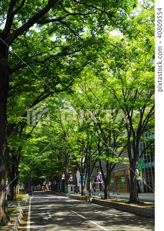 4月府中05大巴玉門神社的柵欄兩旁的樹木 40809554