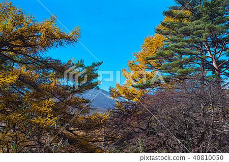 在淺間山麓的秋天 在淺間山麓的秋天 40810050