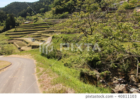 Slope rice terrace Slope rice terrace 40811103