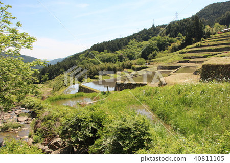 Slope rice terrace Slope rice terrace 40811105