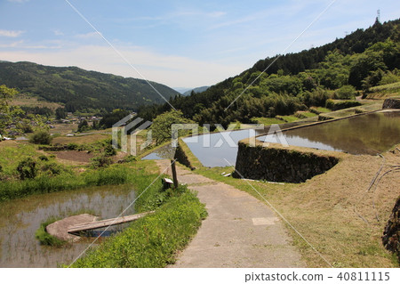 Slope rice terrace Slope rice terrace 40811115