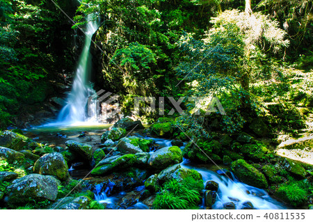Fresh green Karan waterfall [Sagara Ward, Fukuoka City, Fukuoka Prefecture] 40811535
