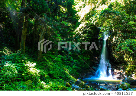 新鮮的綠色Karan瀑布[福岡縣福岡市佐賀原區] 40811537