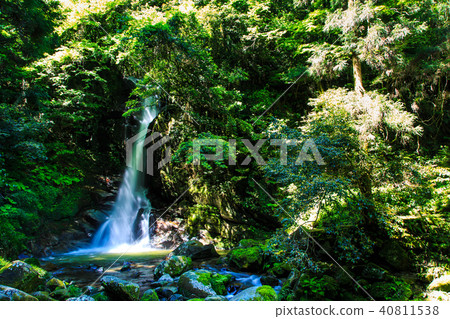 新鮮的綠色Karan瀑布[福岡縣福岡市佐賀原區] 40811538