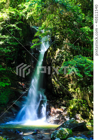 Fresh green Karan waterfall [Sagara Ward, Fukuoka City, Fukuoka Prefecture] 40811540