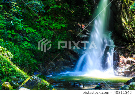 Fresh green Karan waterfall [Sagara Ward, Fukuoka City, Fukuoka Prefecture] 40811543