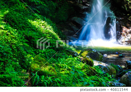 Fresh green Karan waterfall [Sagara Ward, Fukuoka City, Fukuoka Prefecture] 40811544