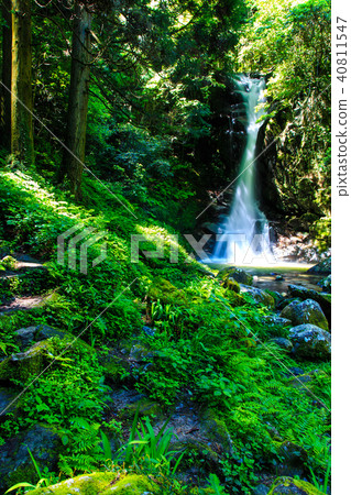 Fresh green Karan waterfall [Sagara Ward, Fukuoka City, Fukuoka Prefecture] 40811547