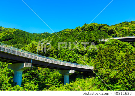 新鮮的綠色Mise環橋[福岡縣福岡市相良區] 40811623