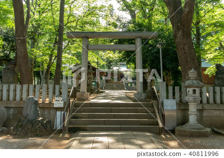 Himonya Hachimangu in Meguro-ku, Tokyo Himonya Hachimangu in Meguro-ku, Tokyo 40811996