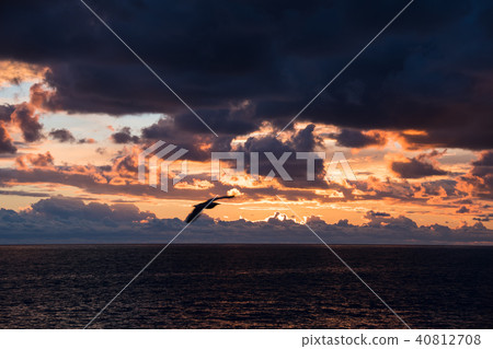 Ligurian Sea Cinque Terre of the evening seen from Riomaggiore (Liguria Province, Italy) 40812708
