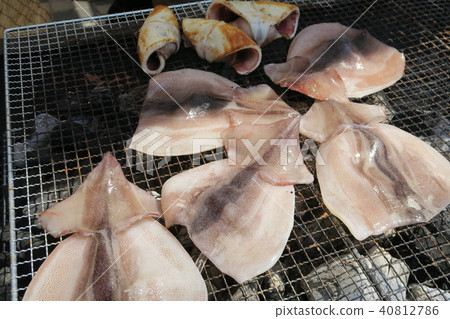魷魚魷魚 魷魚魷魚 40812786