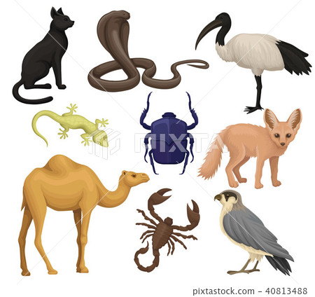 Detailed flat vector set of various Egyptian animals, birds and insects. Ibis, fennec fox, scarab Detailed flat vector set of various Egyptian animals, birds and insects. Ibis, fennec fox, scarab 40813488