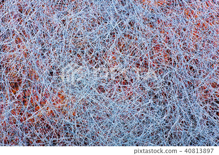Abstract of a plurality of intertwined threads Abstract of a plurality of intertwined threads 40813897