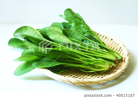 Winter food ingredients Spinach 40815187