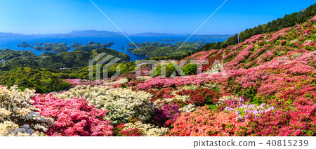 Nagakushiyama Azalea Festival and Kujukushima [Shikamachi Town, Sasebo City, Nagasaki Prefecture] 40815239
