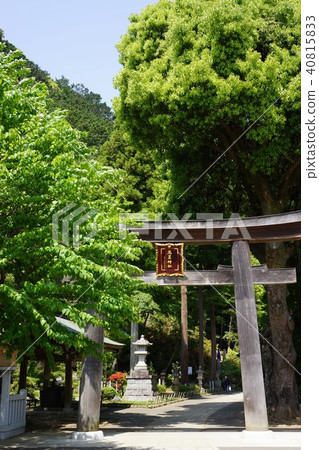 四月的高麗神社 40815833