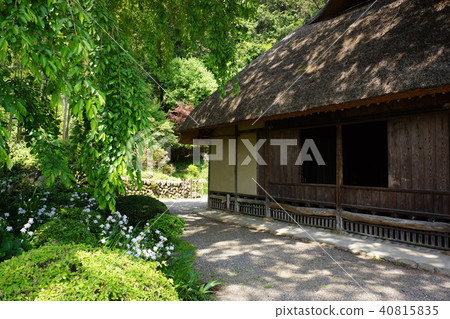 四月的高麗神社 40815835