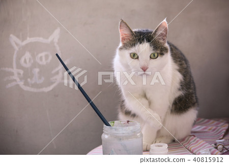 male cat sleeping on concret wall background 40815912