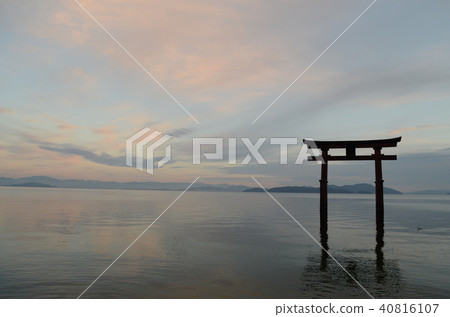 [Shiga Prefecture] Shiroki Shrine 40816107