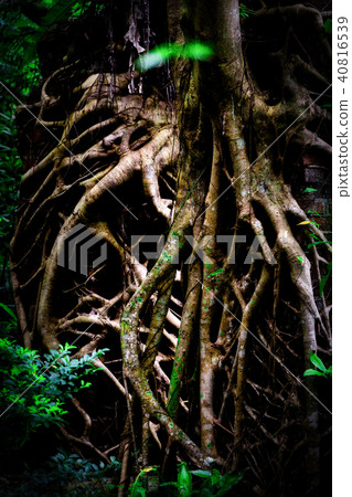 Utara coal mine trace 40816539