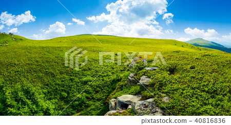 panorama of the hillside meadow 40816836