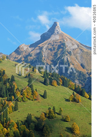 View from the Waegitalersee lakefront to Zindlenspitz in beautiful autumn colors, Schwyz 40816865
