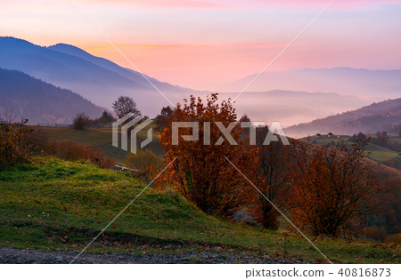 gorgeous purple dawn in mountains gorgeous purple dawn in mountains 40816873