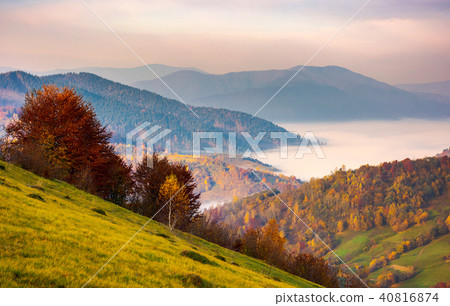 beautiful dawn in mountainous autumn landscape beautiful dawn in mountainous autumn landscape 40816874