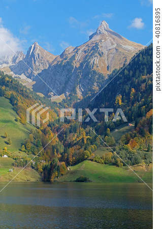 View from the Waegitalersee lakefront to Zindlenspitz in beautiful autumn colors, Schwyz 40816895