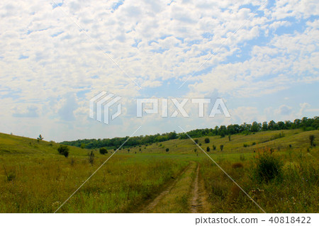 Summer landscape with meadow, trees and hills 40818422