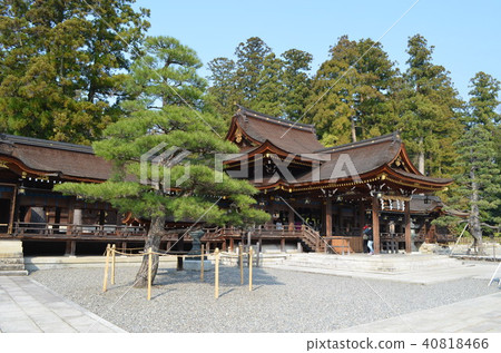 [Shiga Prefecture] Taga Taisha Shrine 40818466