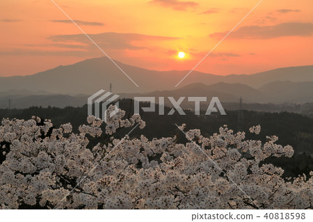 Kasakiyama and the cherry blossoms where the setting sun goes down Kasakiyama and the cherry blossoms where the setting sun goes down 40818598