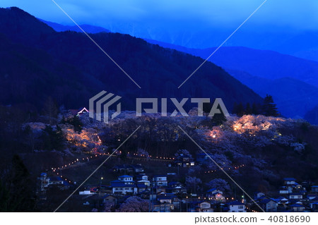 櫻花在Takati城堡廢墟公園和南阿爾卑斯山 40818690