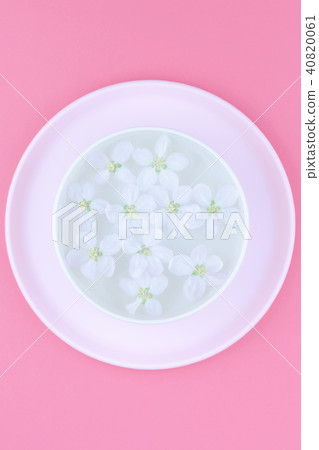White flowers floating in water White flowers floating in water 40820061