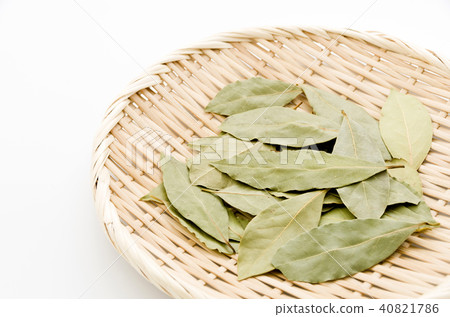 Laurier (laurel) Laurier (laurel) 40821786