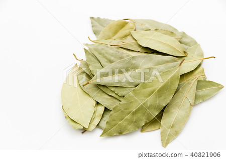 Laurier (laurel) Laurier (laurel) 40821906