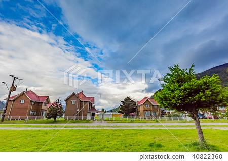 Pinus thunbergii Pinus thunbergii 40822360