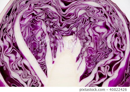 Cut the purple cabbage Cut the purple cabbage 40822426