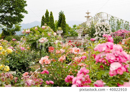 Herb garden travel diary rose garden 40822910