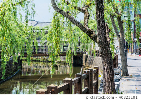 Mizushi Sawara 40823191