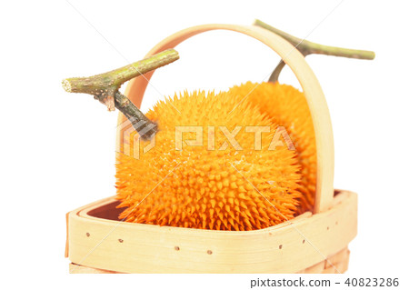 Fresh Baby jackfruit on white background isolate. Fresh Baby jackfruit on white background isolate. 40823286