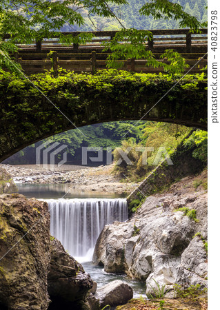 新鮮的綠色Magerosekyo 新鮮的綠色Magerosekyo 40823798