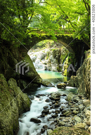 Fresh green Magerosekyo 40823806