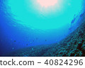 藍色的海洋，潛水員，太陽和 40824296