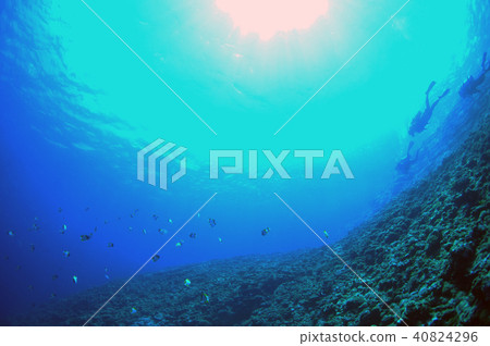 藍色的海洋,潛水員,太陽和 藍色的海洋,潛水員,太陽和 40824296