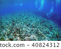 藍色的海洋，珊瑚和潛水員 40824312