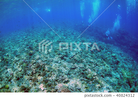 藍色的海洋，珊瑚和潛水員 40824312