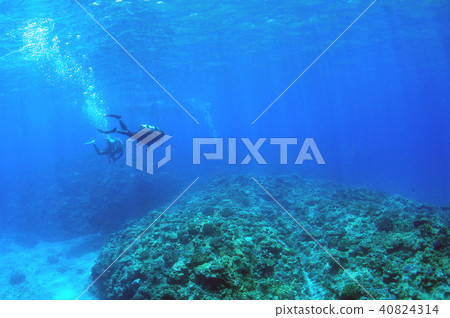藍色的海洋,珊瑚和潛水員 藍色的海洋,珊瑚和潛水員 40824314